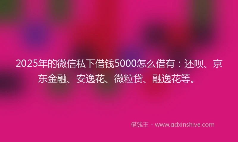 2025年的微信私下借钱5000怎么借有：还呗、京东金融、安逸花、微粒贷、融逸花等。