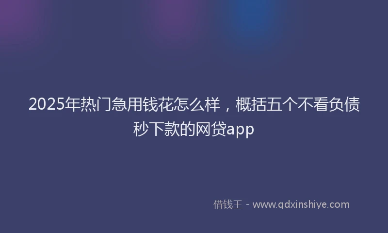 2025年热门急用钱花怎么样，概括五个不看负债秒下款的网贷app