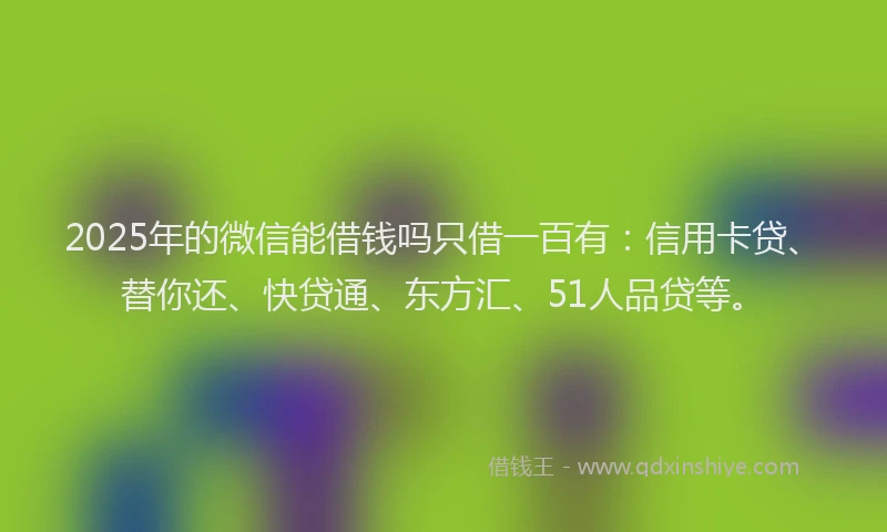 2025年的微信能借钱吗只借一百有：信用卡贷、替你还、快贷通、东方汇、51人品贷等。