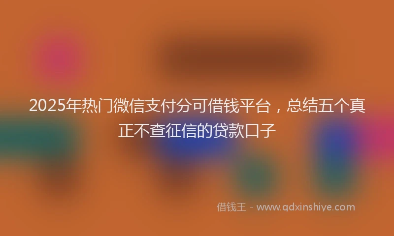 2025年热门微信支付分可借钱平台，总结五个真正不查征信的贷款口子