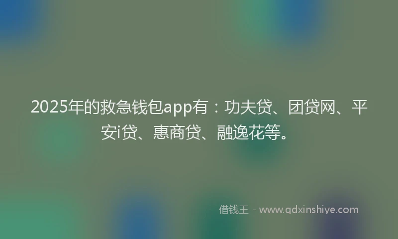 2025年的救急钱包app有：功夫贷、团贷网、平安i贷、惠商贷、融逸花等。