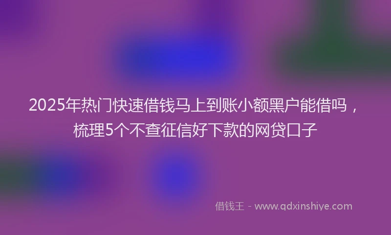 2025年热门快速借钱马上到账小额黑户能借吗，梳理5个不查征信好下款的网贷口子