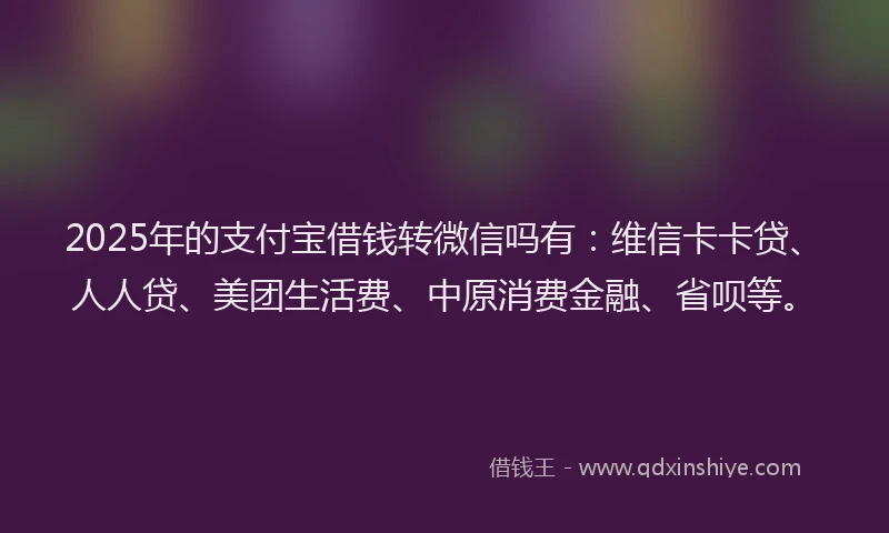 2025年的支付宝借钱转微信吗有：维信卡卡贷、人人贷、美团生活费、中原消费金融、省呗等。