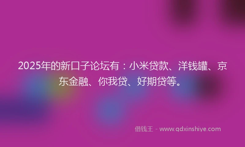 2025年的新口子论坛有：小米贷款、洋钱罐、京东金融、你我贷、好期贷等。