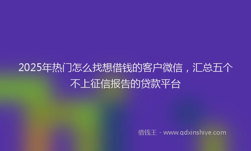 2025年热门怎么找想借钱的客户微信，汇总五个不上征信报告的贷款平台