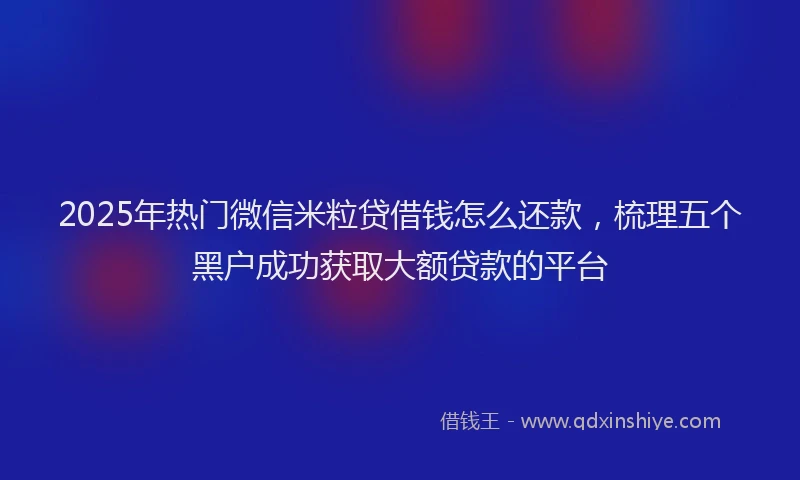 2025年热门微信米粒贷借钱怎么还款，梳理五个黑户成功获取大额贷款的平台