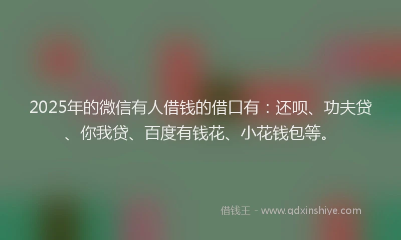 2025年的微信有人借钱的借口有：还呗、功夫贷、你我贷、百度有钱花、小花钱包等。