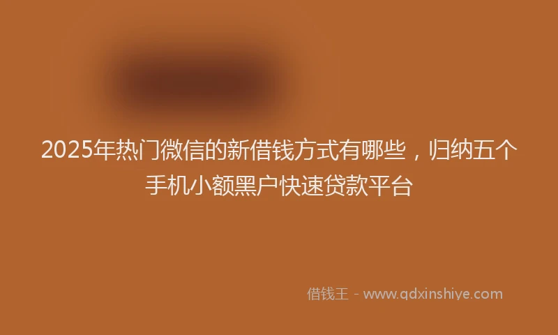 2025年热门微信的新借钱方式有哪些，归纳五个手机小额黑户快速贷款平台