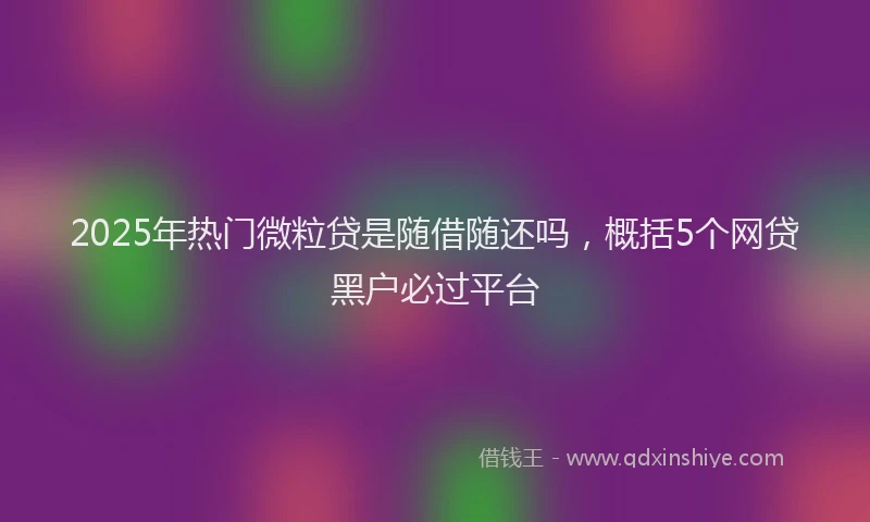 2025年热门微粒贷是随借随还吗，概括5个网贷黑户必过平台