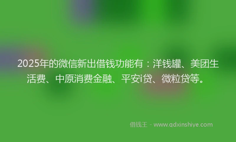 2025年的微信新出借钱功能有：洋钱罐、美团生活费、中原消费金融、平安i贷、微粒贷等。