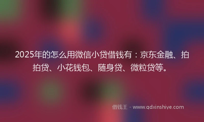 2025年的怎么用微信小贷借钱有：京东金融、拍拍贷、小花钱包、随身贷、微粒贷等。