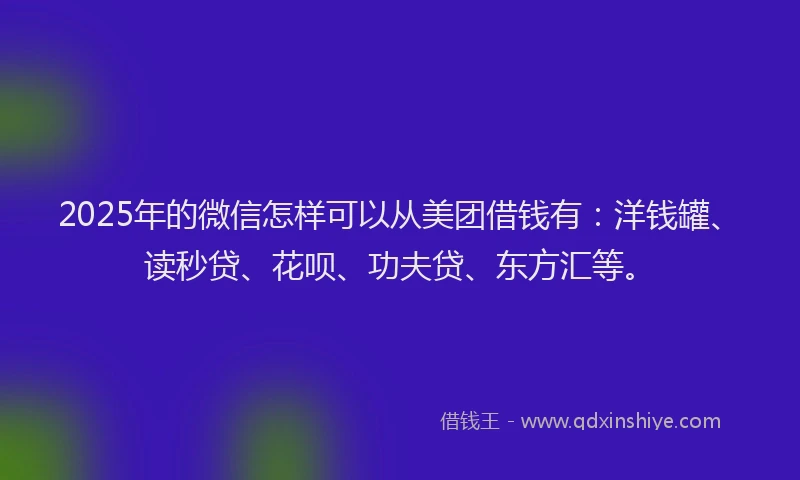 2025年的微信怎样可以从美团借钱有：洋钱罐、读秒贷、花呗、功夫贷、东方汇等。