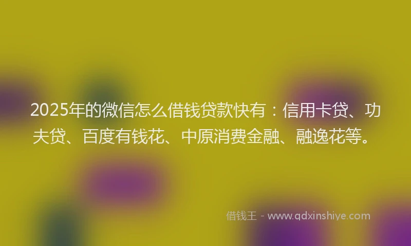 2025年的微信怎么借钱贷款快有：信用卡贷、功夫贷、百度有钱花、中原消费金融、融逸花等。