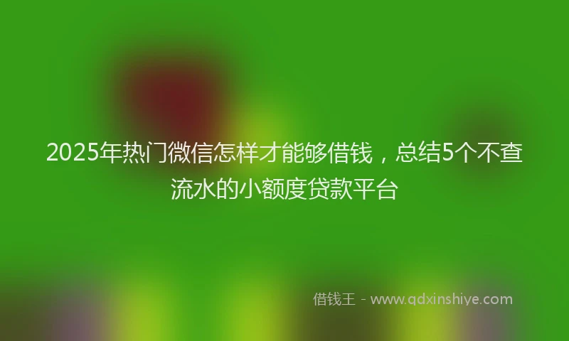 2025年热门微信怎样才能够借钱，总结5个不查流水的小额度贷款平台