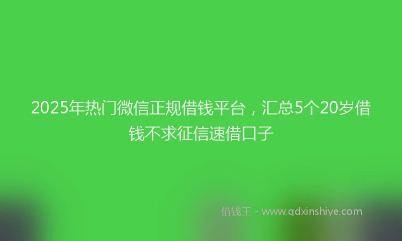 2025年热门微信正规借钱平台，汇总5个20岁借钱不求征信速借口子