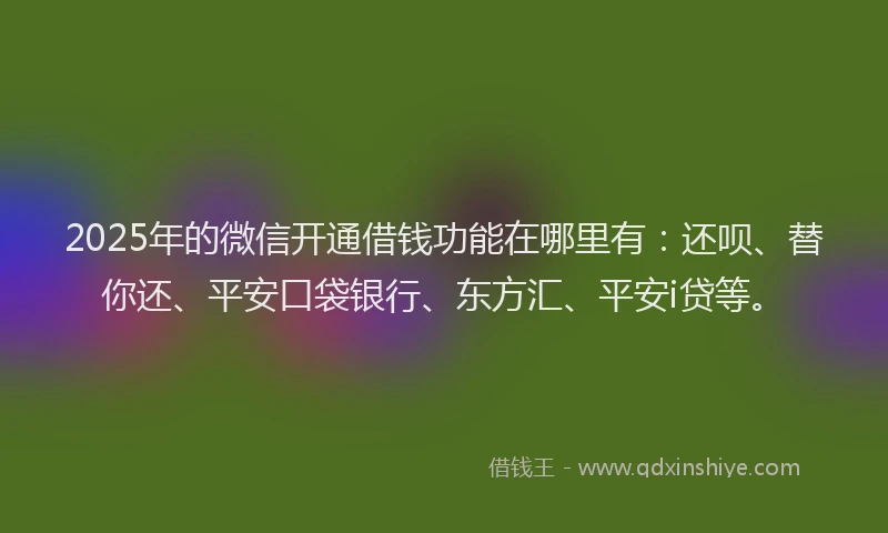 2025年的微信开通借钱功能在哪里有：还呗、替你还、平安口袋银行、东方汇、平安i贷等。