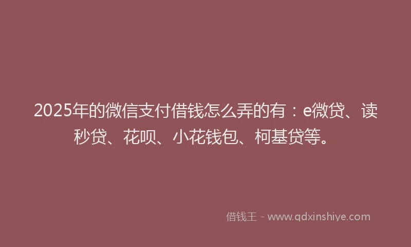 2025年的微信支付借钱怎么弄的有：e微贷、读秒贷、花呗、小花钱包、柯基贷等。