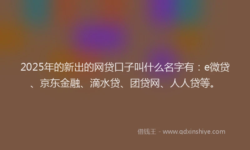2025年的新出的网贷口子叫什么名字有：e微贷、京东金融、滴水贷、团贷网、人人贷等。