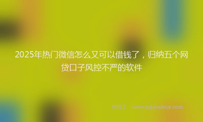 2025年热门微信怎么又可以借钱了，归纳五个网贷口子风控不严的软件
