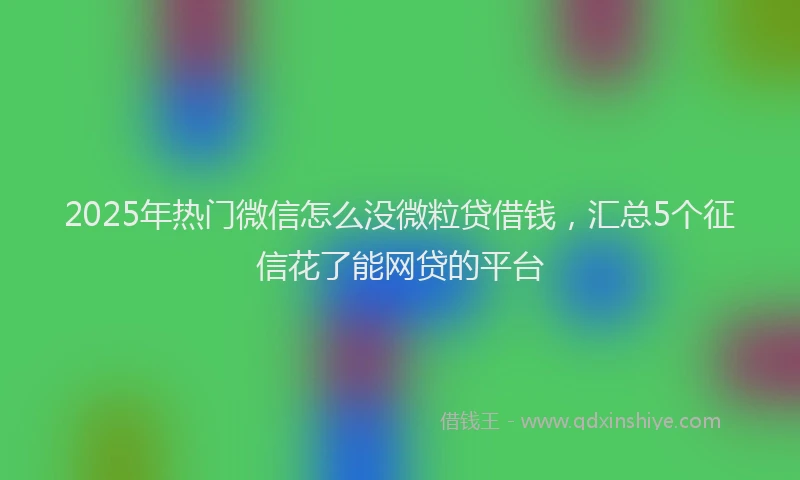 2025年热门微信怎么没微粒贷借钱，汇总5个征信花了能网贷的平台