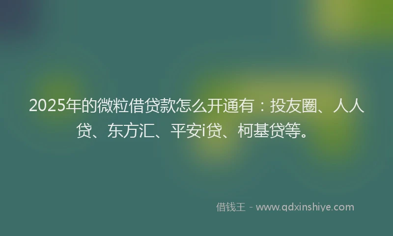 2025年的微粒借贷款怎么开通有：投友圈、人人贷、东方汇、平安i贷、柯基贷等。