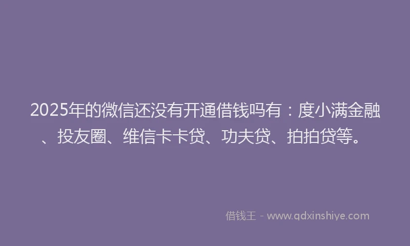 2025年的微信还没有开通借钱吗有：度小满金融、投友圈、维信卡卡贷、功夫贷、拍拍贷等。