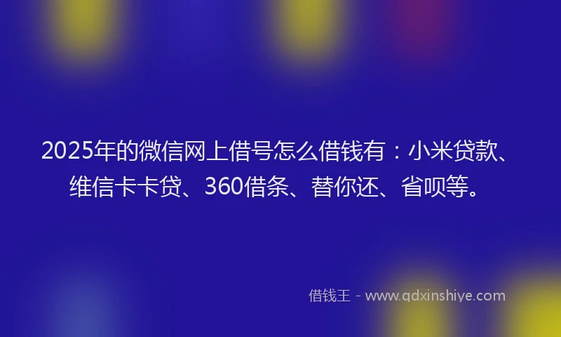 2025年的微信网上借号怎么借钱有：小米贷款、维信卡卡贷、360借条、替你还、省呗等。