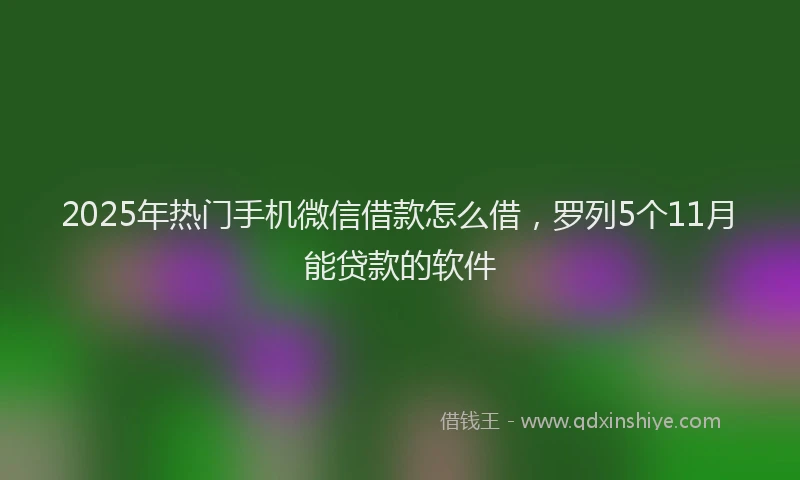 2025年热门手机微信借款怎么借，罗列5个11月能贷款的软件