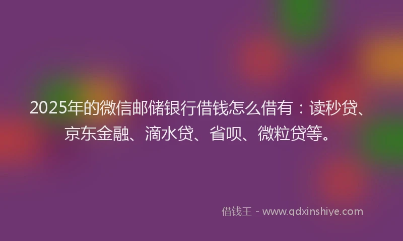 2025年的微信邮储银行借钱怎么借有：读秒贷、京东金融、滴水贷、省呗、微粒贷等。