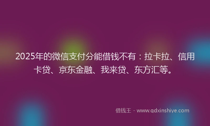 2025年的微信支付分能借钱不有：拉卡拉、信用卡贷、京东金融、我来贷、东方汇等。