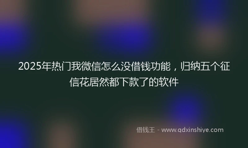 2025年热门我微信怎么没借钱功能，归纳五个征信花居然都下款了的软件