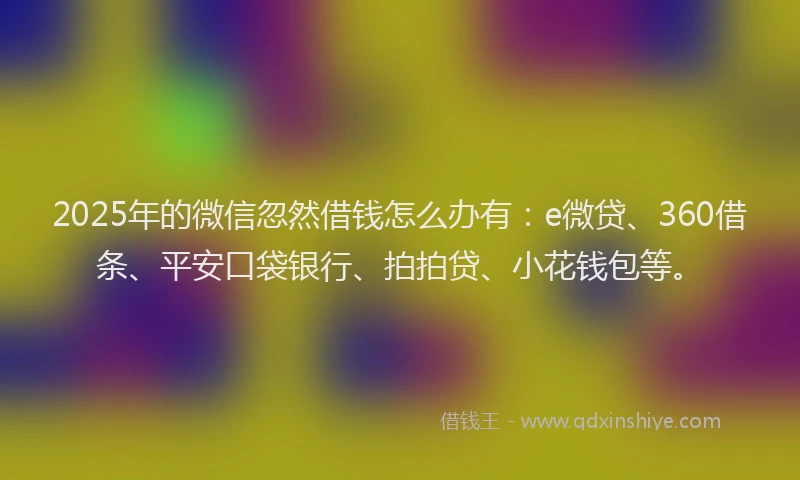 2025年的微信忽然借钱怎么办有：e微贷、360借条、平安口袋银行、拍拍贷、小花钱包等。