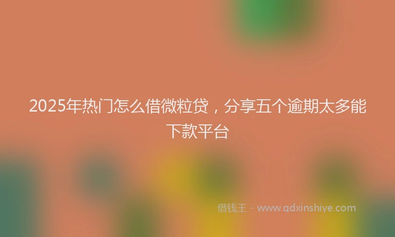 2025年热门怎么借微粒贷，分享五个逾期太多能下款平台