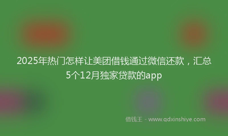 2025年热门怎样让美团借钱通过微信还款，汇总5个12月独家贷款的app