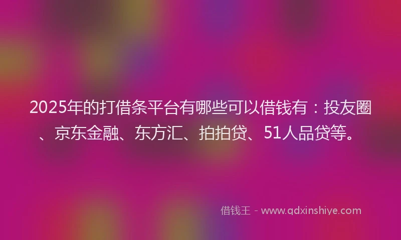 2025年的打借条平台有哪些可以借钱有：投友圈、京东金融、东方汇、拍拍贷、51人品贷等。