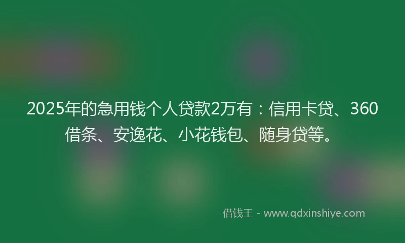 2025年的急用钱个人贷款2万有：信用卡贷、360借条、安逸花、小花钱包、随身贷等。
