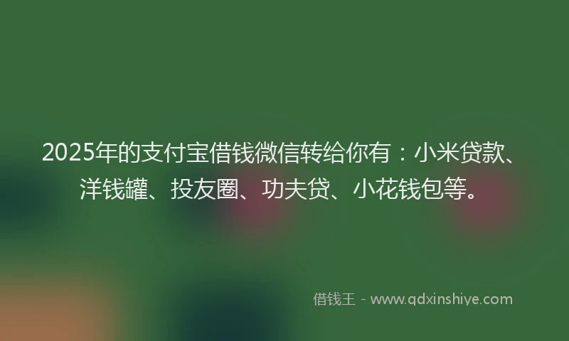 2025年的支付宝借钱微信转给你有：小米贷款、洋钱罐、投友圈、功夫贷、小花钱包等。