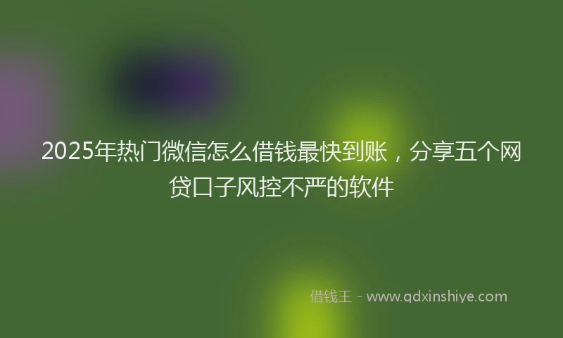 2025年热门微信怎么借钱最快到账，分享五个网贷口子风控不严的软件