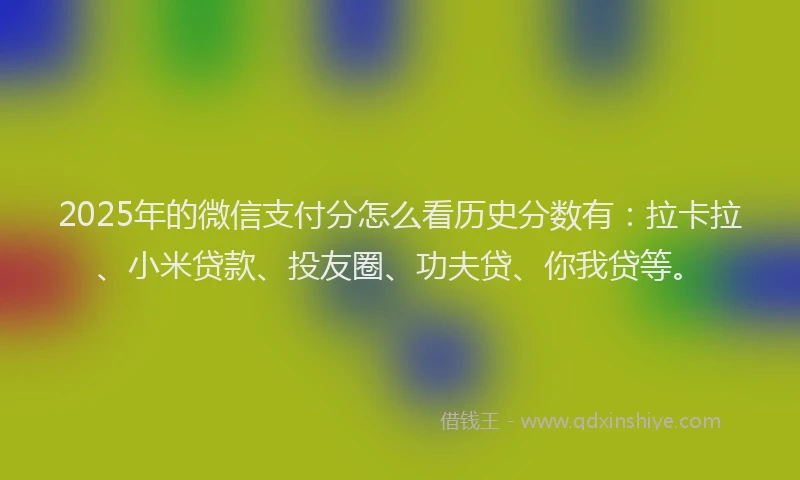 2025年的微信支付分怎么看历史分数有：拉卡拉、小米贷款、投友圈、功夫贷、你我贷等。