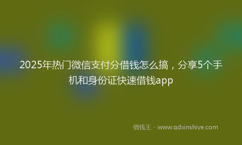 2025年热门微信支付分借钱怎么搞，分享5个手机和身份证快速借钱app