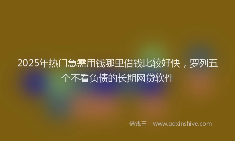 2025年热门急需用钱哪里借钱比较好快，罗列五个不看负债的长期网贷软件