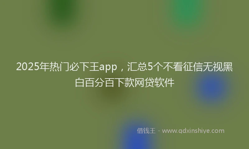 2025年热门必下王app，汇总5个不看征信无视黑白百分百下款网贷软件
