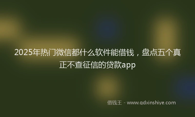2025年热门微信都什么软件能借钱，盘点五个真正不查征信的贷款app