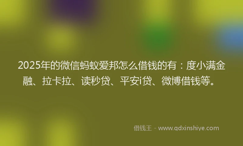 2025年的微信蚂蚁爱邦怎么借钱的有：度小满金融、拉卡拉、读秒贷、平安i贷、微博借钱等。