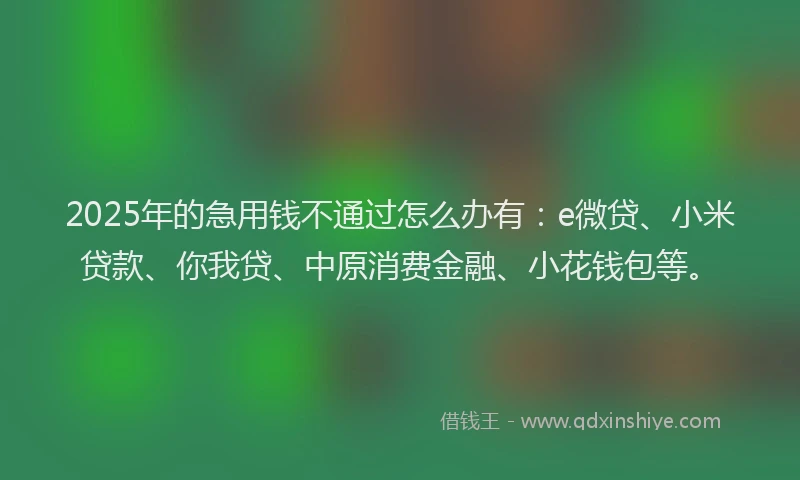 2025年的急用钱不通过怎么办有：e微贷、小米贷款、你我贷、中原消费金融、小花钱包等。