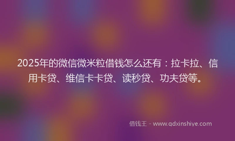 2025年的微信微米粒借钱怎么还有：拉卡拉、信用卡贷、维信卡卡贷、读秒贷、功夫贷等。