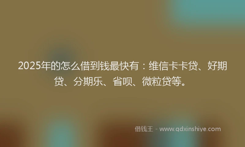 2025年的怎么借到钱最快有：维信卡卡贷、好期贷、分期乐、省呗、微粒贷等。