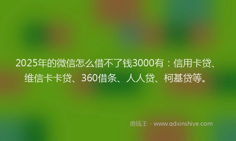2025年的微信怎么借不了钱3000有：信用卡贷、维信卡卡贷、360借条、人人贷、柯基贷等。