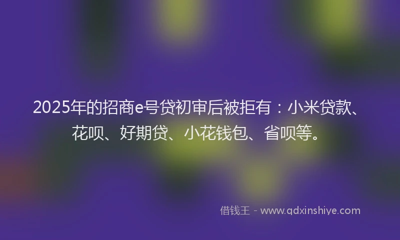 2025年的招商e号贷初审后被拒有：小米贷款、花呗、好期贷、小花钱包、省呗等。