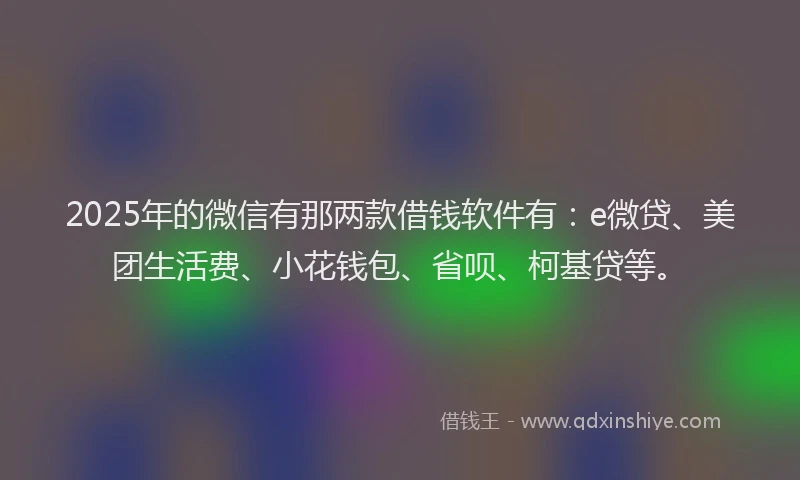 2025年的微信有那两款借钱软件有：e微贷、美团生活费、小花钱包、省呗、柯基贷等。